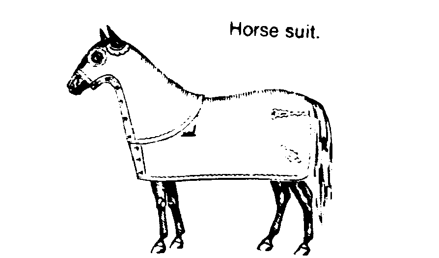 mb 2-3 Horse Suit