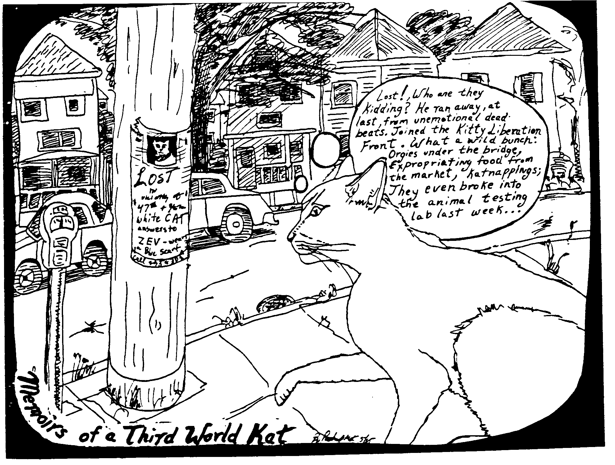 mb2-3_Memoirs of a Third World Cat #3 cartoon