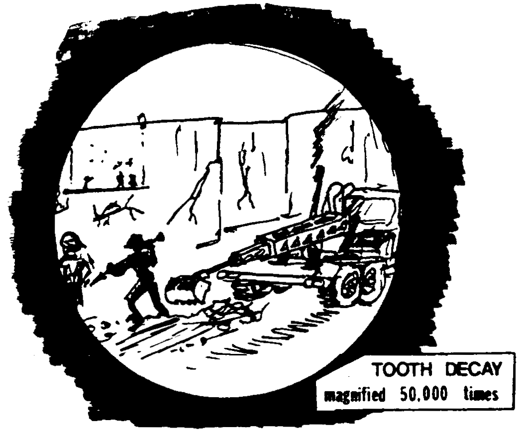 mb2-3 Toot Decay cartoon