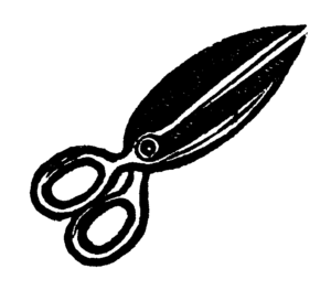 mb3-3 Toucan scissors accent