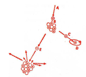 mb4-2 Three Theorems Accent