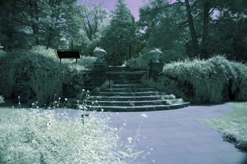 008-Steps