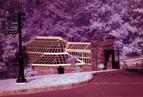 009-FernHouse