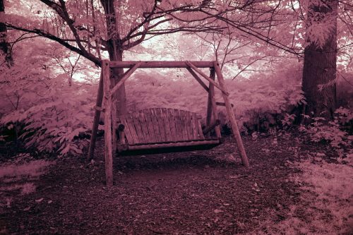 014-Swing