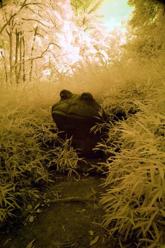 016-FrogSculpture
