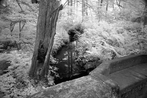 017-BWStream