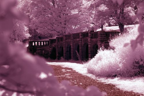022-NearArches