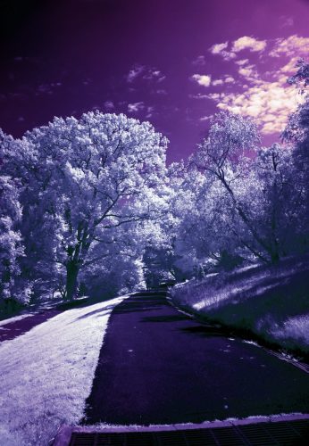 026-SkyDrama