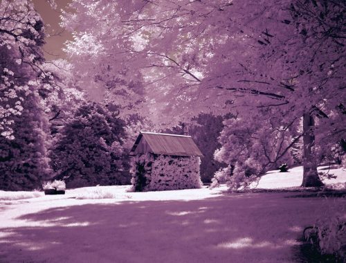 035-ThatchCabin