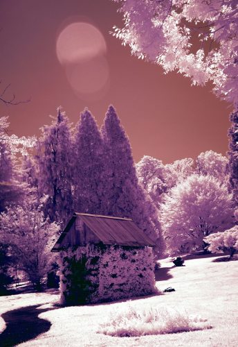 037-ThatchCabin