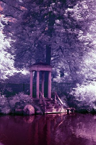038-SwanPond