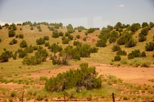 Desert in summertime.