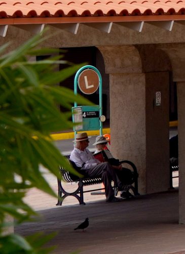 Waiting for the bus.